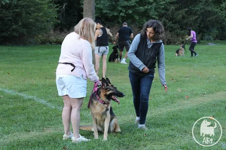 A group dog training class in a grassy park. In the foreground, an instructor guides a woman with a German Shepherd.