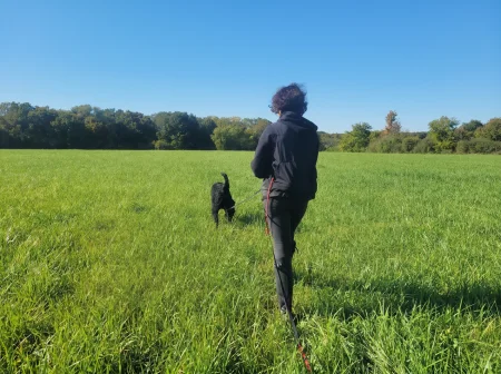 A handler follows a black dog on a long line as it tracks a scent through a tall green field, showcasing focused Schutzhund tracking work.
