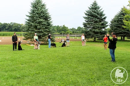 A dog trainer stands on a grassy field with his hands raised wide, illustrating a point about confidence and ignoring outside judgment while working with a dog.