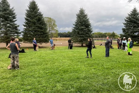 "A group of people and their dogs standing in a wide semi-circle on a grassy field during an outdoor training session, listening to a trainer.