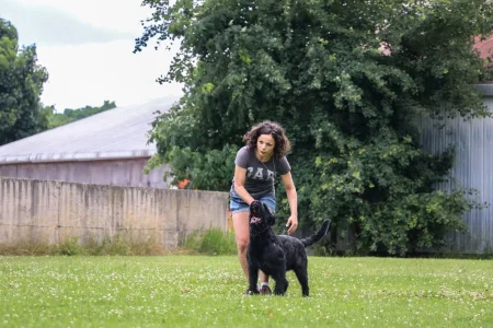 A person holding back a barking and lounging dog by its collar