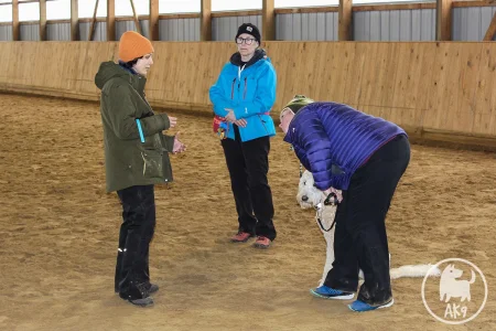 A dog trainer explaining something to a client with a dog