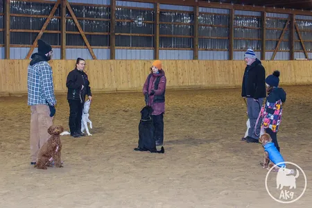A dog trainer conversing with a group of people with their dogs