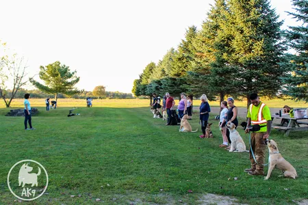 A group of dogs sitting in line next to their owners