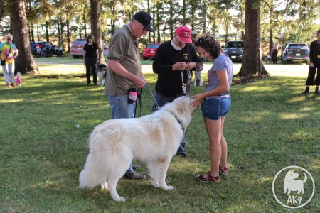 Ala interacts with a large white dog during a outdoor group training session.