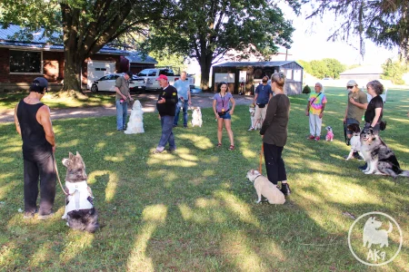 An outdoor dog training session where owners stand in a circle on a grassy field with their dogs, listening to instructors.