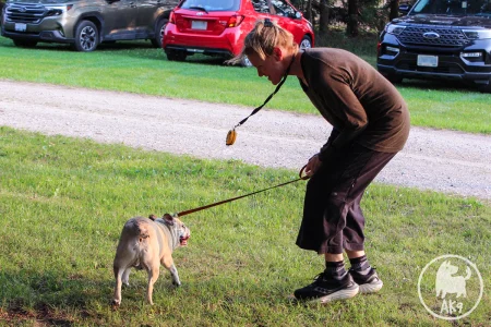 A woman smiles and plays with a bulldog on the grass.