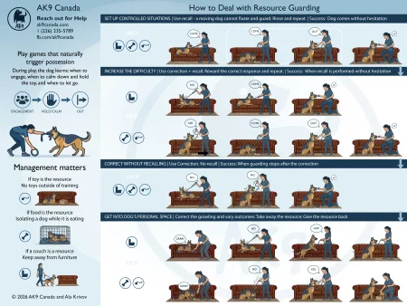 AK9 Canada infographic detailing a four-stage training process for resource guarding using a German Shepherd and a couch.