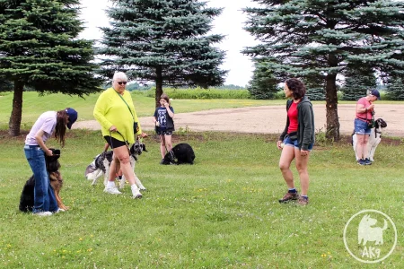 A group of dogs with their handlers and a dog trainer explaining something to them