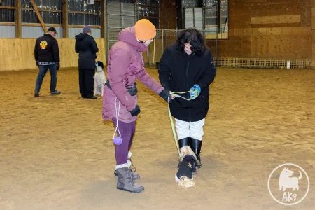 A small dog looking at its owner; a dog trainer is explaining something while reaching for the leash