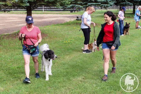 A dog heeling with its owner with dog trainer giving them verbal instructions
