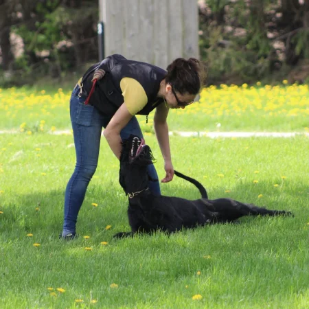 Dog laying on its back and showing a mouth full of teeth