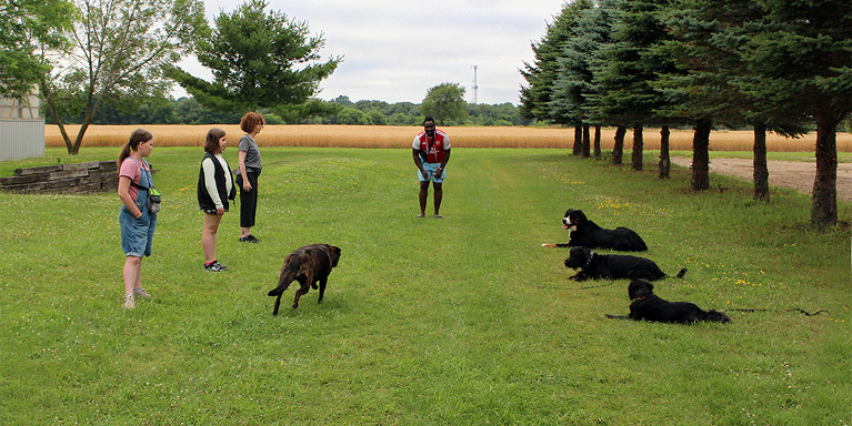 AK9 Cadada - Obedience class