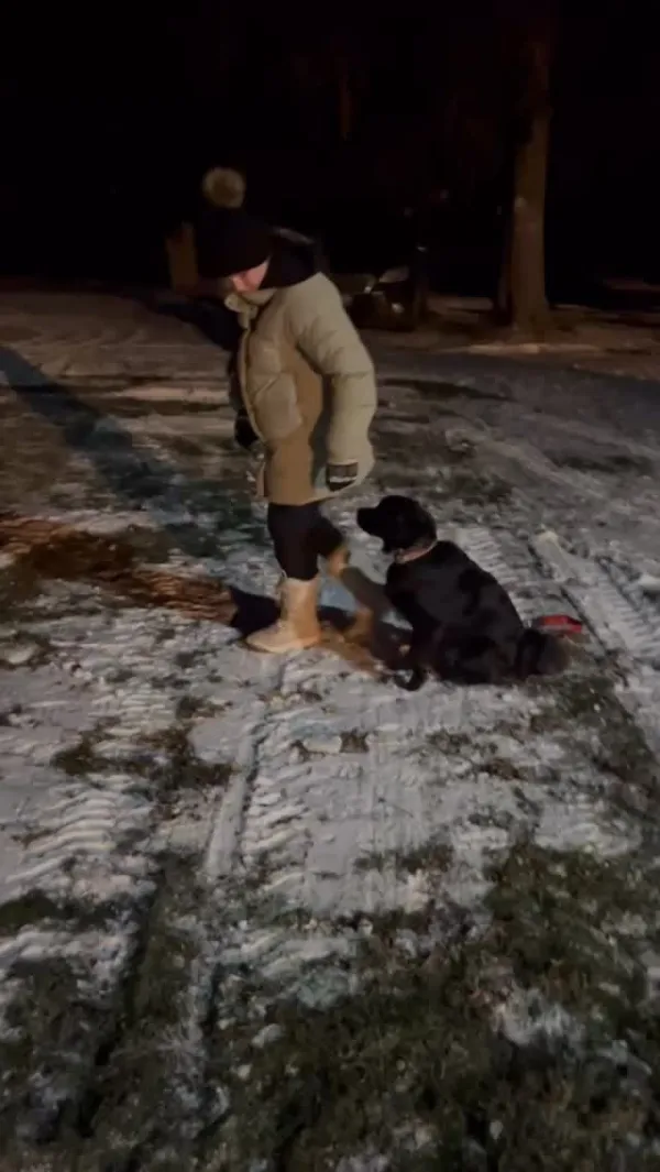 Image for Client Spotlight: Rory and Lucy