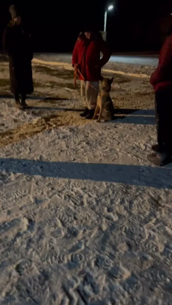 Image for Client Spotlight: Hex