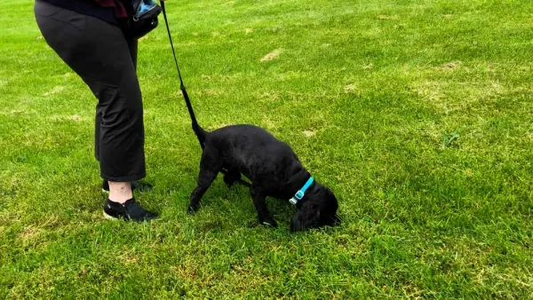 Image for Client Spotlight: Jackson